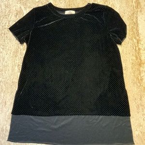 Hummingbird Black Velvet Top